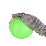 Youyijia Elektrisches Hunde Katzen Jagdspielzeug Ball Fangspiel Wiesel Jagdspiel Haustier Haustier Katze Spielzeug Elektro Biber Wiesel Spielzeug Roll Jump Ball Spielzeug