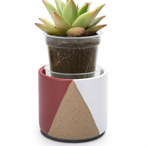 D'vine Dev 3.5 Stoneware Plant Pot with Saucer