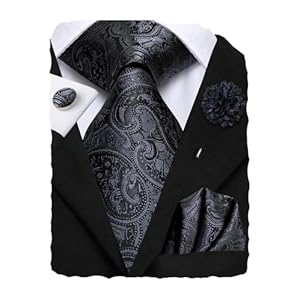 Hi-Tie Mens Tie Pocket Square Set Cufflinks Lapel Pin Silk Ties for Men Wedding Party Formal Business