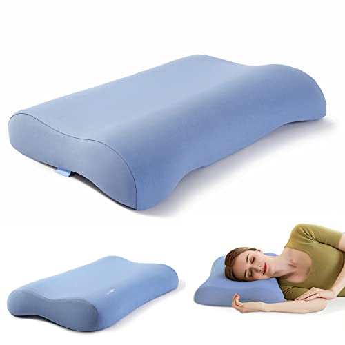 Choc Chick Memory Foam Pillow,Queen Size Soft Butterfly Cervical Pillows For Sleeping With Cotton Pillowcase (Blue) #TOP16