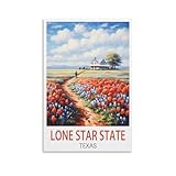 EPXZNM Vintage Metal Tin Sign Texas Lone Star State Funny Beer Signs Metal Wall Plaque Retro for Man Cave Home Vintage Decor 15x30cm