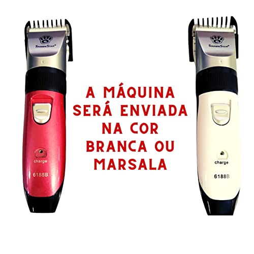 Aparador Maquina de Tosar Pêlos Cães Gato PETs Recarregável Aparar Pêlo Cachorro Dog