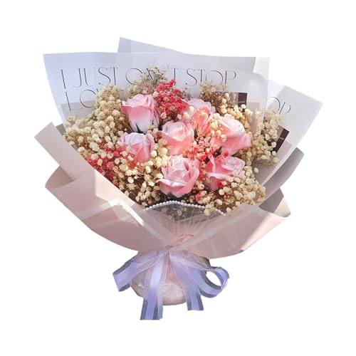 MAIBED  o J[l[V  񂰑ܕt \[vt[ u[P t[AWg o^Cf[ ̓ v[g (G) [sAi]