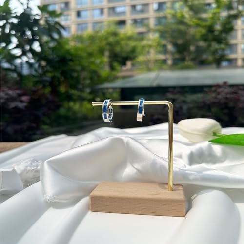 LM.aoruiz Brincos de prata, brincos de argola azul e prata, adequados para meninas, aparência brilha