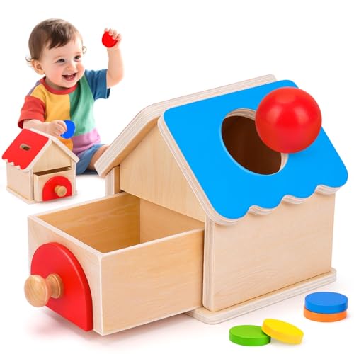 Montessori Spielzeug ab 1 2 3 Jahr Baby Geschenk Junge Mädchen...