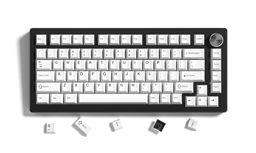 キーキャップ Womier ダブルショット PBT キーキャップセット、チェリープロファイル、138キー、60/65/75/100% メカニカルキーボード用、レトロゲーミングスタイル (ホワイト-1)の商品画像（Amazon）