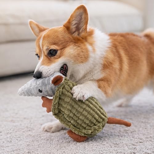 Image of Hollypet Plush Dog Squeaky Toy Stuffed Armadillo Animal Pet Puppy Chew Toys with Clean Teeth for Small Medium Large All Breed Sizes Dogs, Olive Green, 8 in