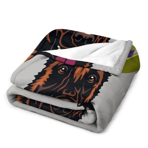 Couverture douce malinois cadeau Halloween idéal pour passionné