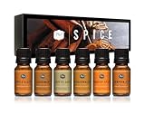 P&J Trading Spice Set of 6 Premium Grade Fragrance Oils - Cinnamon, Harvest Spice, Apple Cider, Coffee Cake, Gingerbread, Pumpkin Pie - 10ml