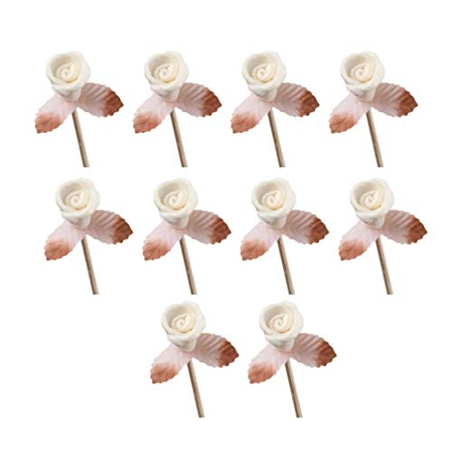 Palitos Difusores de Aroma 10 Piezas miniatura 1