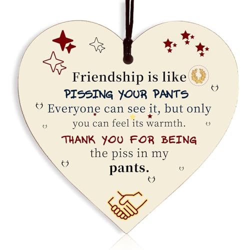 Friend Gifts for Women Friendship Gift Birthday Girlfriend Wooden Hanging Heart Plaque Cute Funny Inspirational Quote Special Gifts for Women