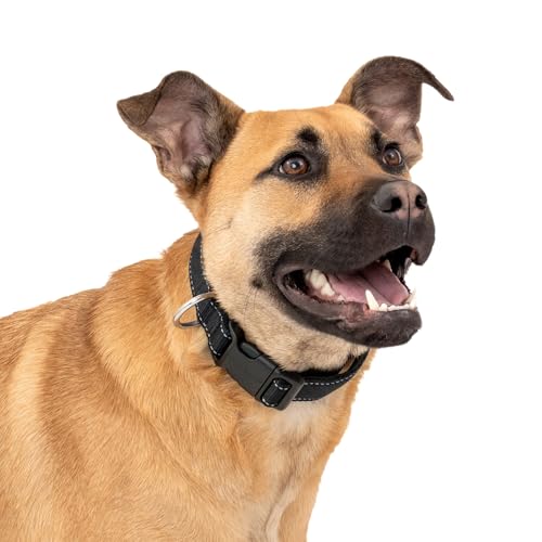 PetSafe Comfort Dog Collar Adjustable Fit for Small, Medium and Large Dog Breeds Reflective Stitching Padded Materials Built-in D-Ring Medium, Black by PetSafe - Used condition - US$7.40