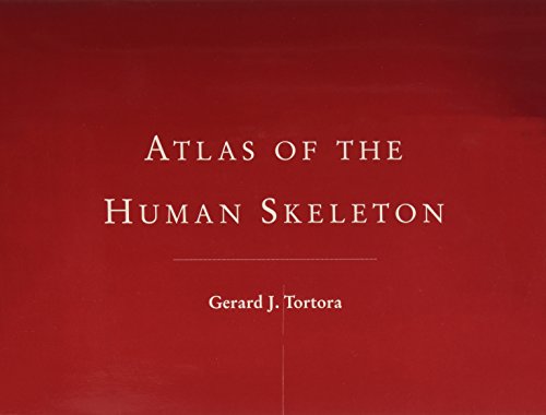 Atlas of the Human Skeleton 0471368121 Book Cover