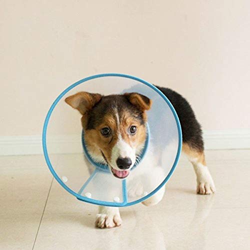 犬 エリザベスカラー ブルー 犬用 カラー ソフト 猫 エリザベス 怪我 術後 傷口 舐め 防止 保護 エリカラ 安い 軽量 抗菌 男の子 女の子 セール 便利 春 春用 お得 S-XL 犬のエリザベス 犬エリザベスカラー