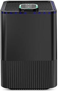 HAUEA Air Purifier with 4 in 1 True HEPA Filter and Ionizer, Home