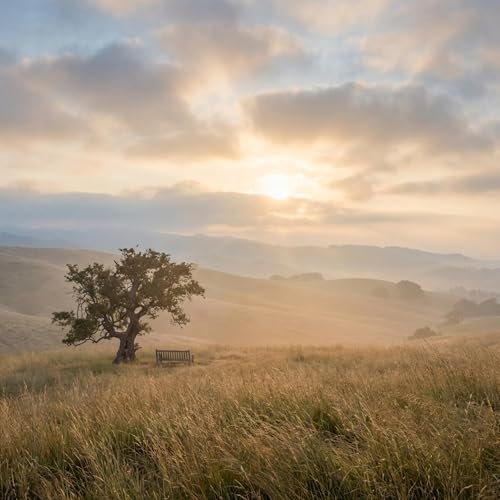 Couverture de Renewing your Mind