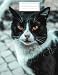 Produktbild Cat Composition Notebook: Tuxedo Cat Composition Notebook College Ruled. 200 Pages (100 Sheets) . For Kids, Teens, Students And Adults ( Men / Women / Boys / Girls ) { 8.5 x 11 }