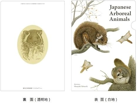 Amazon 薮内正幸クリアファイル ムササビ モモンガ クリアホルダー 文房具 オフィス用品