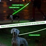 Kpuplol LED-Hundeleine für nächtliche Spaziergänge, wiederaufladbar, wiederaufladbar, reflektierend, leuchtet im Dunkeln, mit gepolstertem Griff, Sicherheits-Leine für kleine, mittelgroße und große
