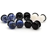 Mystic Metals Body Jewelry Set of 5 Pairs Single Flare Stone Plugs - Black Agate, White Jade, Snowflake Obsidian, Blue Lapis, Sodalite (6g (4mm))