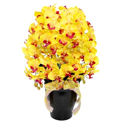 Rv  G}H VNt[ Ӓ CG[ 7{  A Vzj JXj Mtg v[g t[Mtg