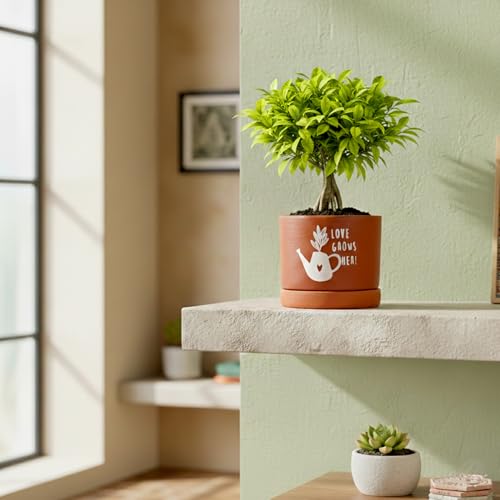 Image of Urban Plant Love Grows Terracotta Pot with Saucer (5 Inch) | Printed Clay Planter with Drainage Hole | Decorative Indoor Plant Pot for Tabletop, Desk & Home Decor