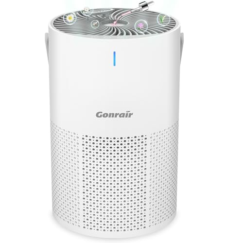 Image of Air Purifier for office home living room, bedroom, H13 True HEPA Filter (White, Air Purifier)