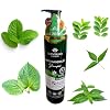 Talaypu Herbal Extract Scalp Care Refreshing Shampoo - Natural Herbal extracts Formula, free from harmful chemicals, NO sulfates,No artificial Color (8.12oz) (Cool Herbal Formula)