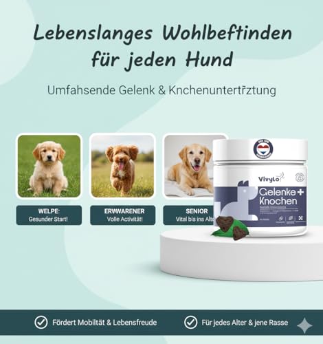 Vivylo 90 Grünlippmuschel Hundeleckerli | 270g | Gelenktabletten mit Glucosamin, Kollagen, Kurkuma, MSM für Gelenke und Knochen - Leckerlis für aktive & älternde Hunde mit Vitamin C, D3 und Zink