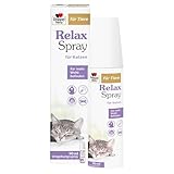 Doppelherz Relax Spray für Katzen - Umgebungsspray für mehr Wohlbefinden - geruchsneutral - 90 ml