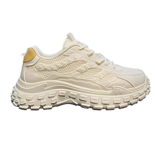 [Snughom] Y [NV[Y yhh z X|[cJWA ʋC y ϋv  AEghAɓK