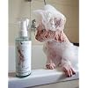 Probiotic Shampoo for Sphynx Cats Gentle Sulfate-Free Formula for Sensitive Skin, Hairless Breeds & Kittens, pH-Balanced, 50 ml / 1.7 fl oz