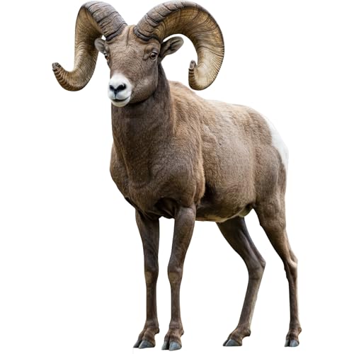 Image of Bighorn Sheep Life Size Cardboard Cutout, 5FT Standup, 1 PC | Bighorn Sheep Cardboard Cutout for Party Decor, Birthday, Photo Booth, Events, Home Decoration, Wild West Theme, for All Ages