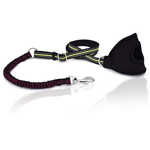 Xrten Correa de Perro con Elástica y Costuras Reflectantes para Correr Pasear ect