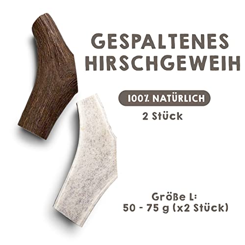 MAIKAI Packung 2 Hirschgeweih für Hunde in Zwei Hälften geteilt Größe L – 100% Natürlicher Kauknochen + Widerstandsfähig – Hundeknochen Ideal für Mittlere Hunderassen bis 30 kg – Hundespielzeug
