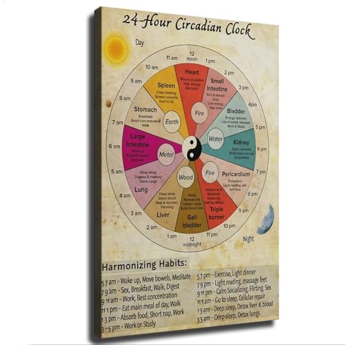 Body Organ Clock Traditional Chinese Medicine Therapy for Sleep Traditional