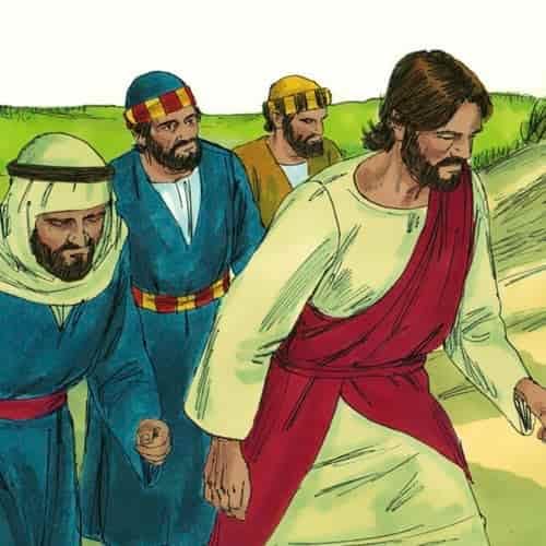 Behold God's Eternal Plan