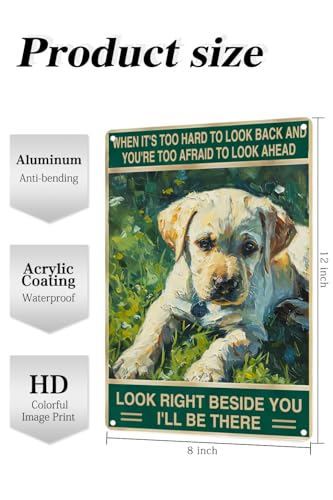 TopPacific Labrador Retriever-Schild, Retro-Blechschild mit Aufschrift 'Look Right Beside You', für Draußen und drinnen, Wandposter, Hausbar, Laden, Dekorationen, Kaffee, Vintage-Schild, Geschenk