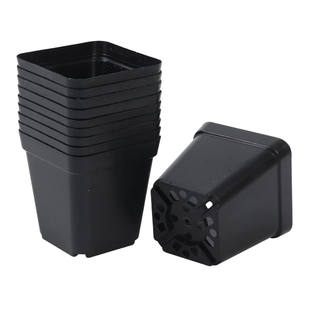 PithCogent Plastic Plant Pot Square Nursery Pots Flower Planter Container for Fruit Vegetable Black 50Pcs 2.17 Inch