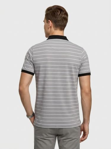 Image of Park Avenue Men Slim Fit Stripe Pattern Pure Cotton Polo Neck Half Sleeve Casual T-Shirt