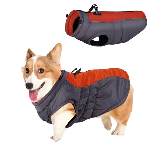 Dog Winter Coat, Waterproof Dog Jacket Vest for Small, Medium Dogs Warm Pet Coats with Harness Outdoor Puppy Coat Vest Reflective Winter Dog Clothes Sport for Corgi, French Bulldog (M/36cm, Orange)