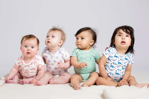 MONICA + ANDY Baby Organic Short Sleeve Jack + Jill Bodysuit2