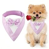Esmoquin con Pajarita para Perro, Collar Bandana de Boda para Perros pequeños, Disfraz para Bodas, compromisos y cumpleaños (Cuello: 20-30 cm, Morado)