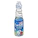 Ramune Japanese Marble Soda Choose your flavor (9 Flavor Sampler)