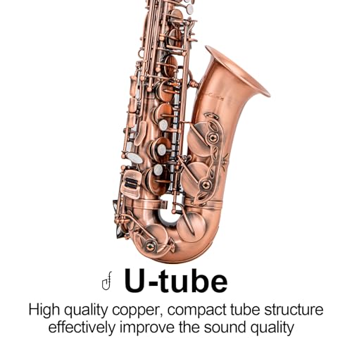 Aisiweier Alto Saxophone Antique Red Bronze Vintage Sax Eb E-flat Student Beginner Full Kit with Carrying Case Mouthpiece Cleaning Brush Straps Reeds