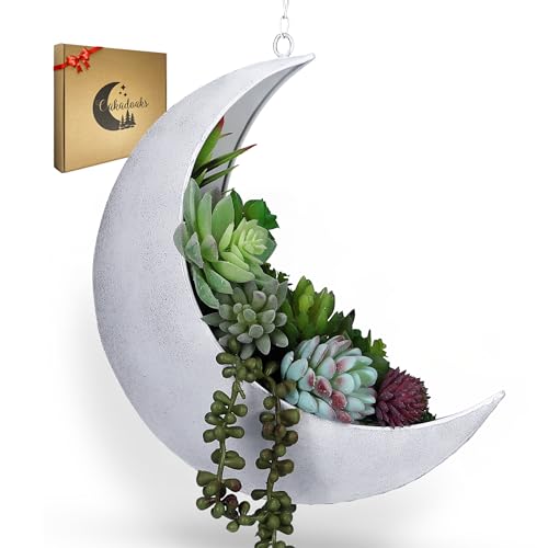Hanging Moon Planter for Moon Room Decor - Great for Succulents, Air Plant, Mini Cactus, Faux, Artificial Plants-Boho Hanging Planters for Indoor Plants, Witchy Gifts for Women, Birthdays,Plant Lovers