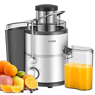 best affordable juicer machine