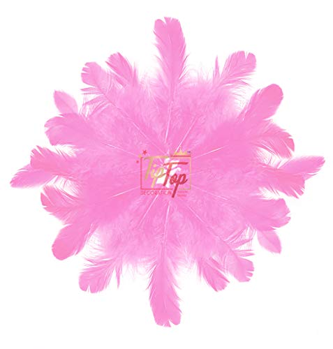 Image of Natural Dyed Feathers 10 cm (80 pieces) (Light Pink)