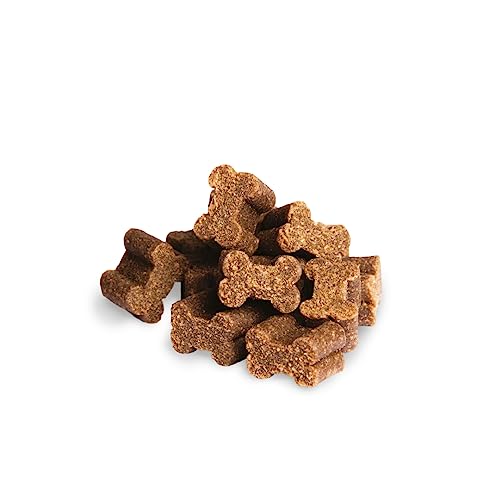 La Mejor Selección de Premios para perro los mejores 10. 20 Imagen adicional