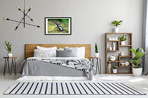 Cadre MDF 60x40 cm Tulup Tableau Moderne Bois Coléoptère - 3
